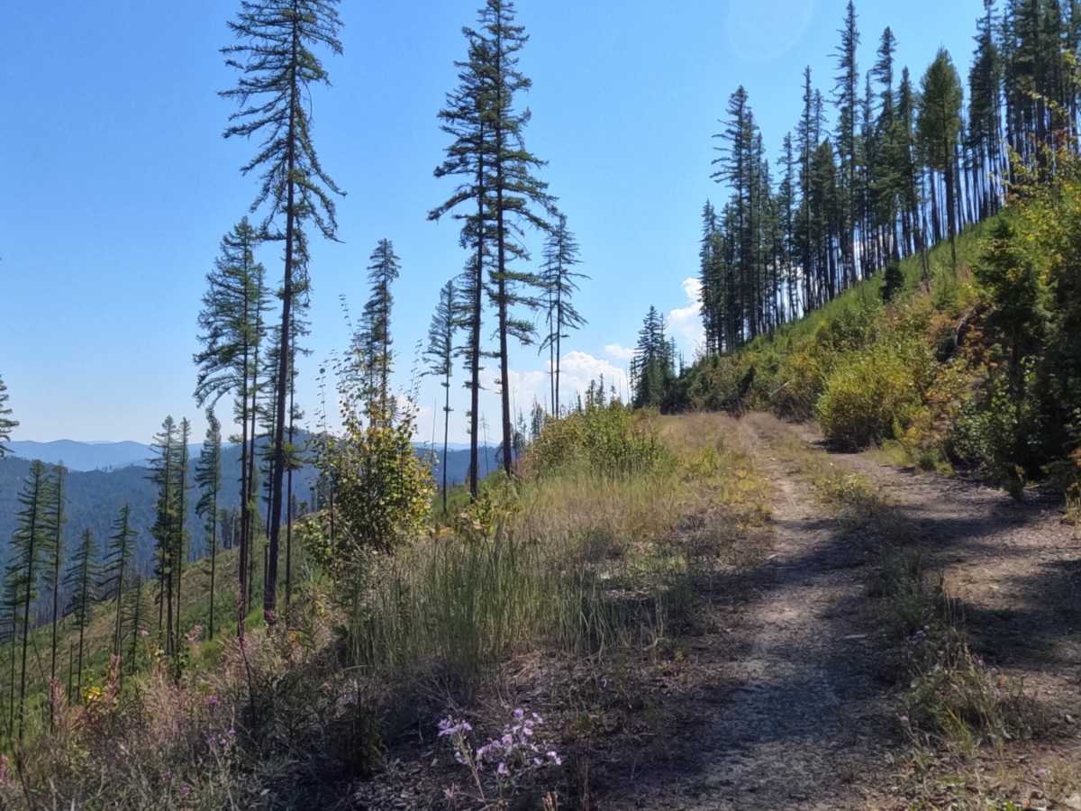 Quartz Ridge photo 6