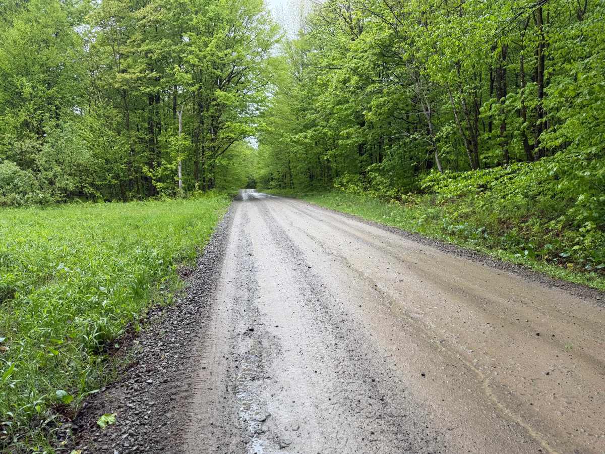 Goodhines Road photo 4