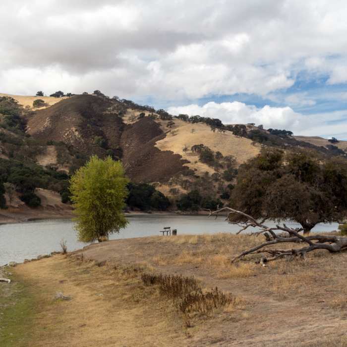 Near Hetch Hetchy Trail