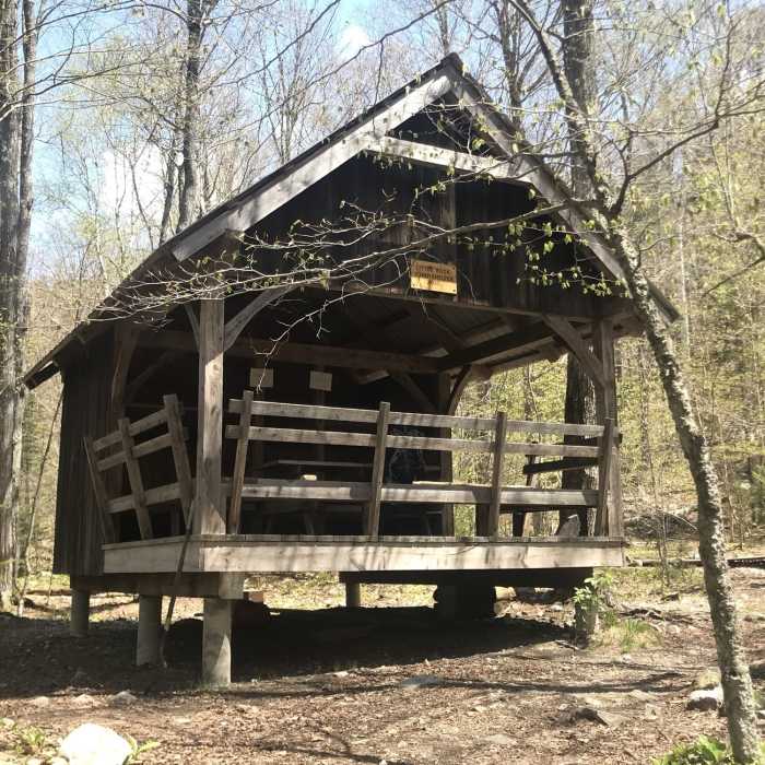 Near Little Rock Pond Loop #416