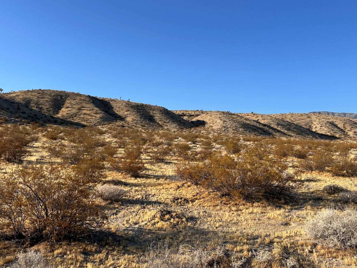 Quartz Flats photo 2