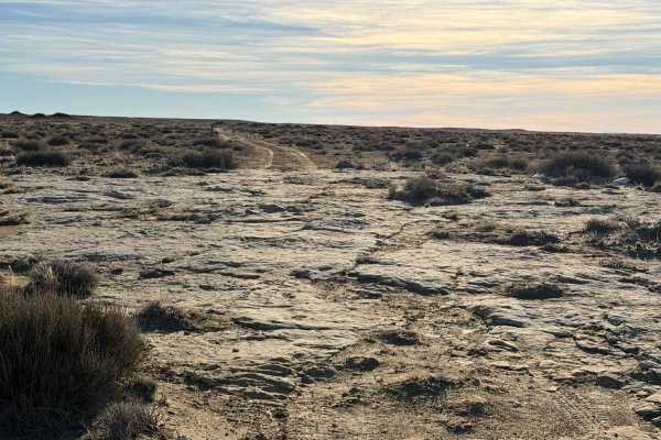 Coal Mine Road