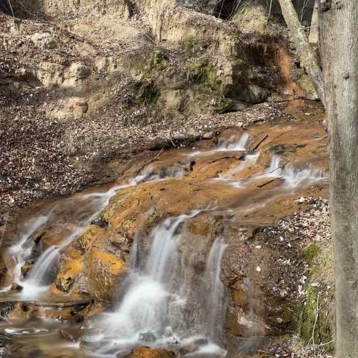 Near Cape Fear River Trail