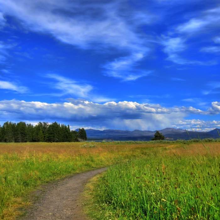 Near Mary Mountain-Nez Perce