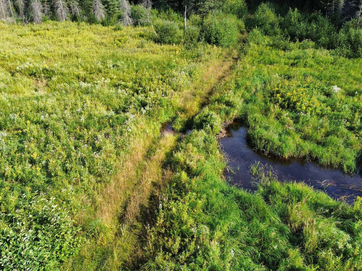 Jeep Mine Road photo 4