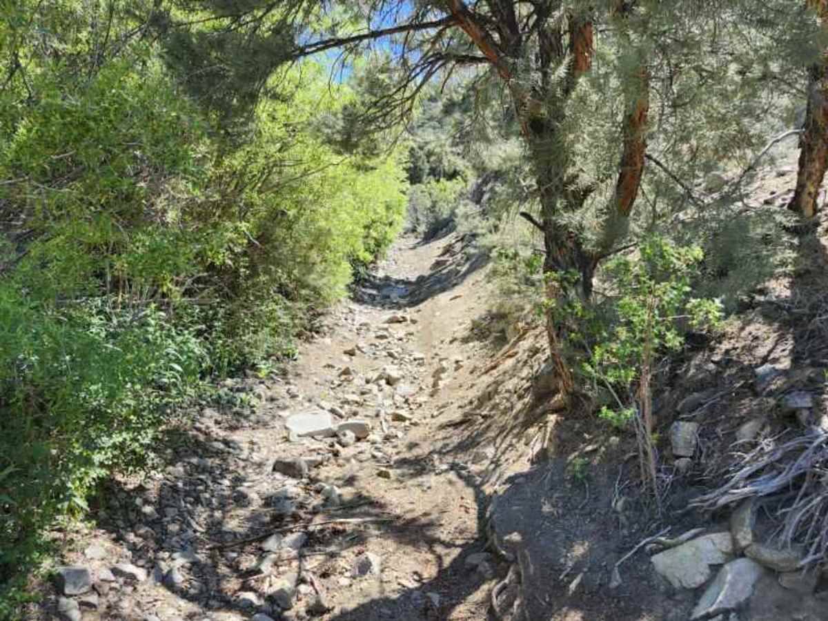 Pine Grove Summit photo 2