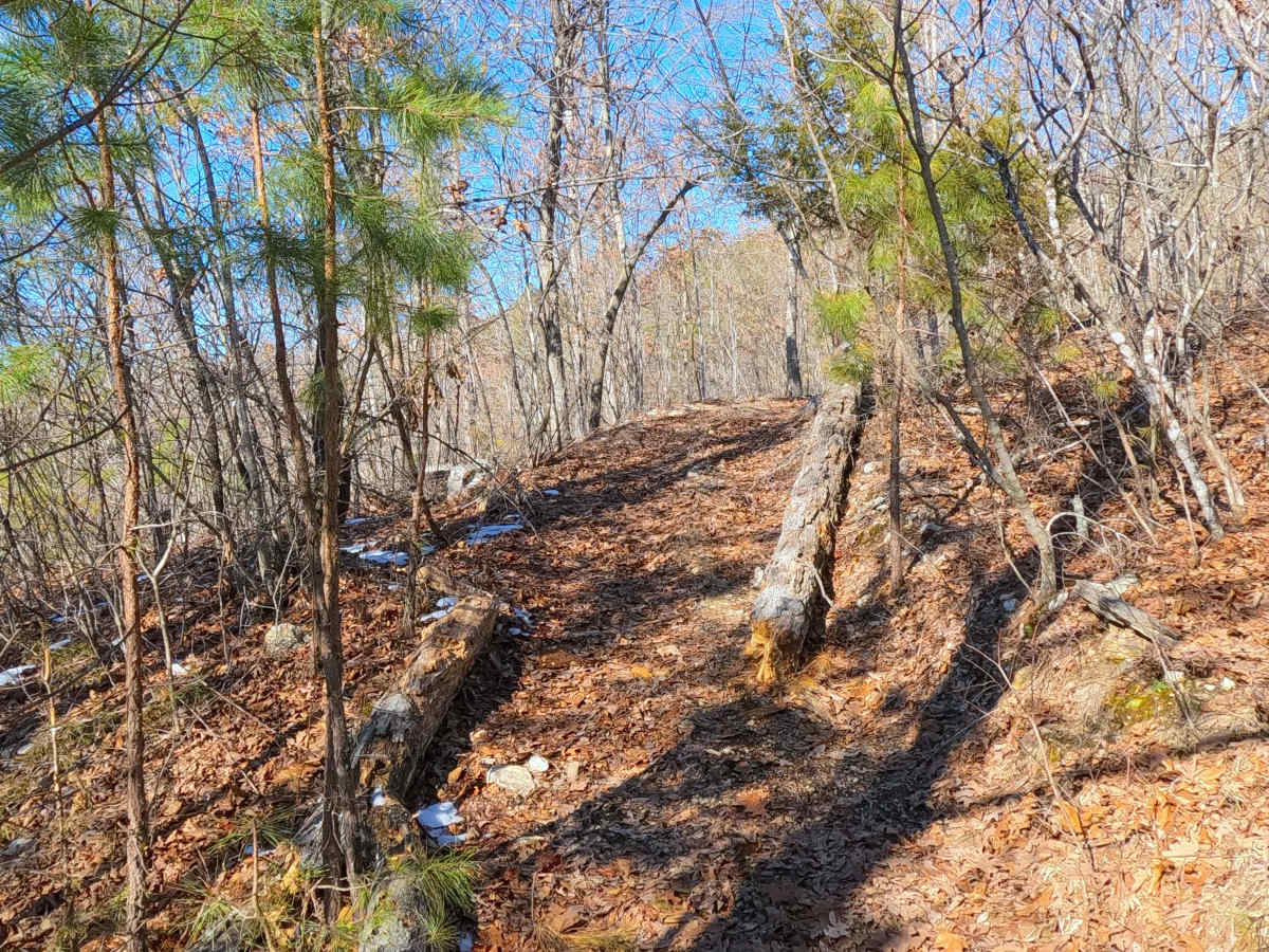 Sutton Bluff ATV 14 North - SB 14 photo 5