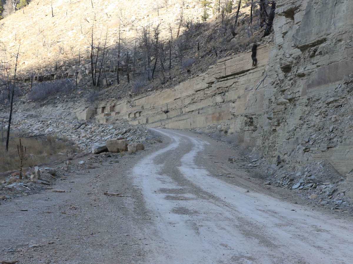 Strawberry River Road photo 3