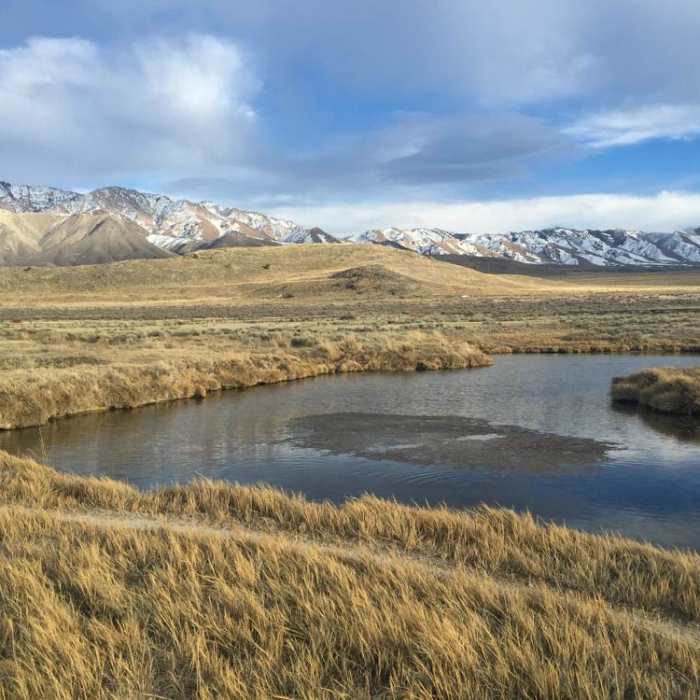 Near Horseshoe Springs Near Horseshoe Springs