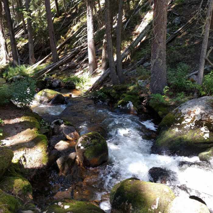 Near Onahu Creek Trail