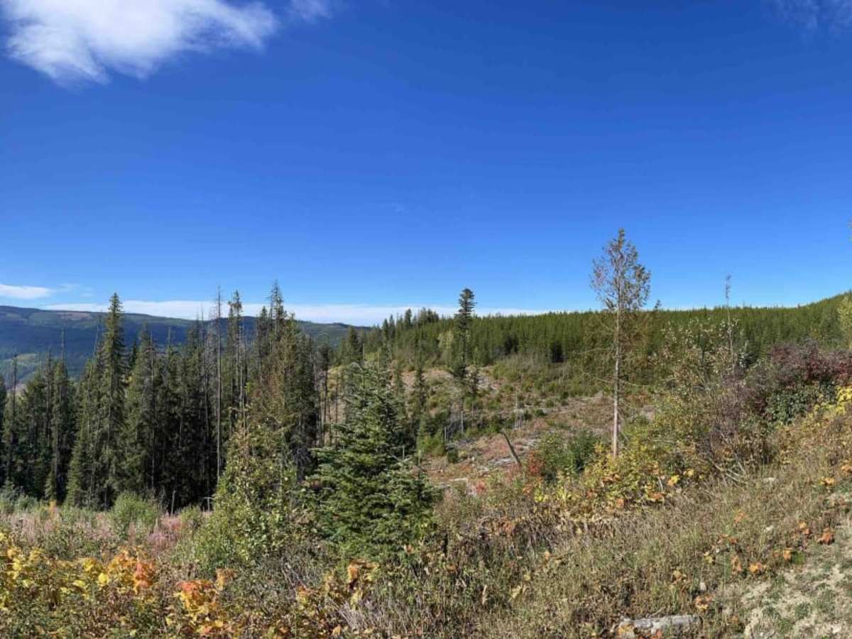 Heckman Creek Road photo 4