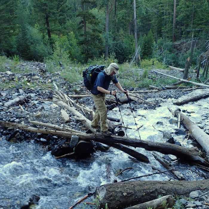 Near Falls Creeks Trail #1807A