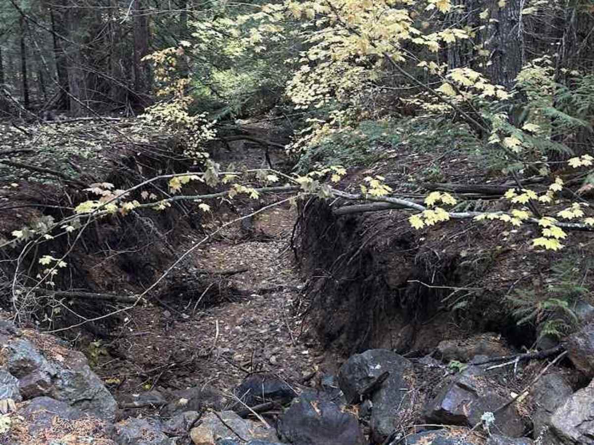 Tucker Creek Road photo 4