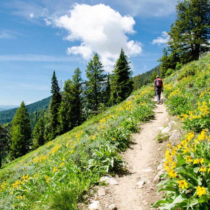 Near Surprise + Amphitheater Lakes