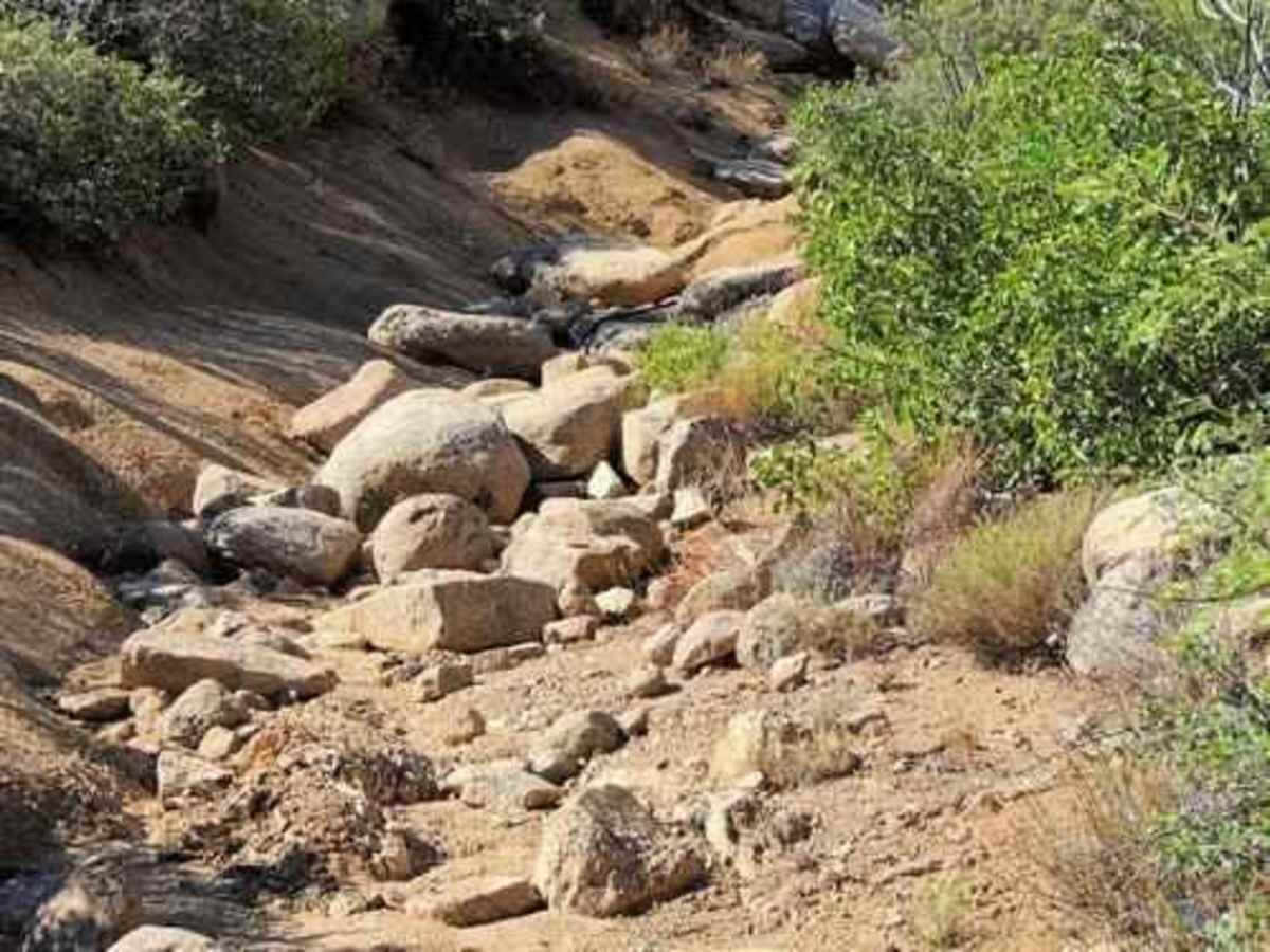 Mud Springs photo 4