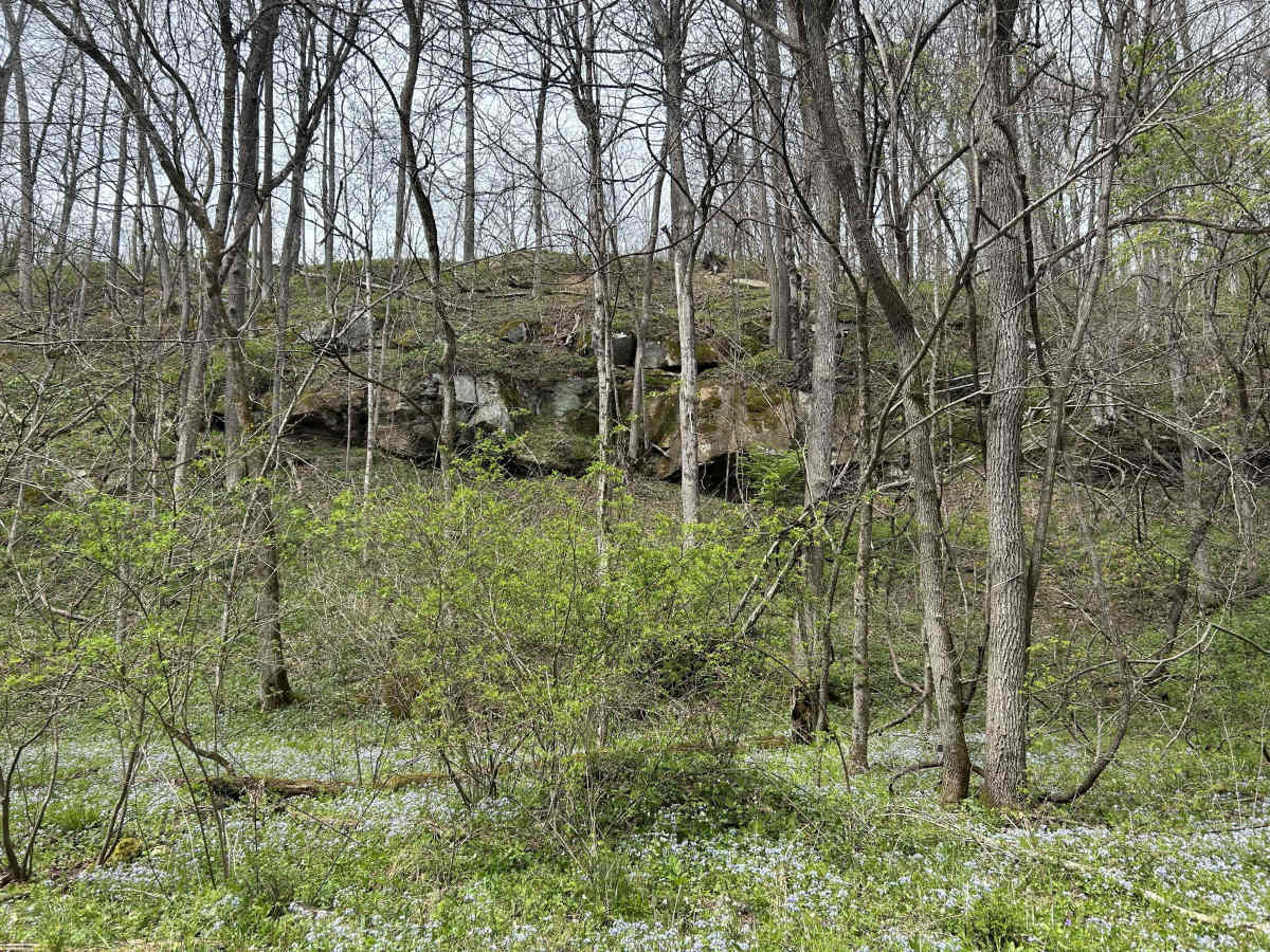 Peggs Fork Road  photo 3