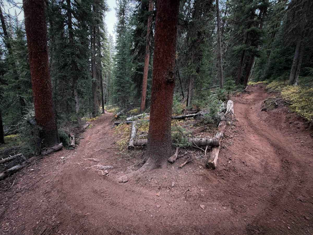 Deadman Gulch Trail - FS 420  photo 5