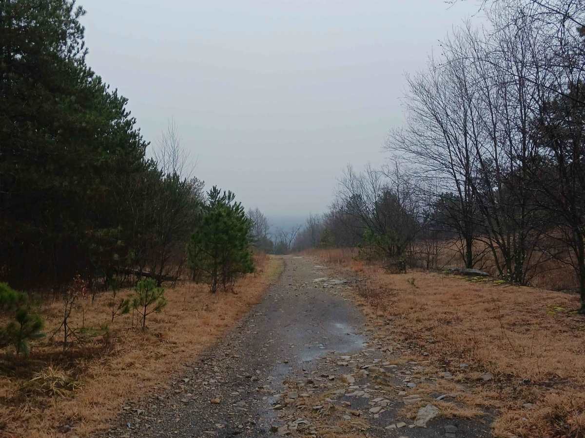 The Strip - Rock Run Recreation Area trail photo