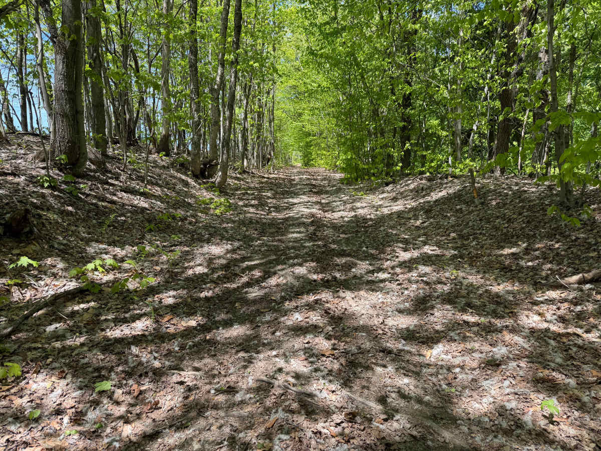 Grower Green Trail East - 1 photo 4