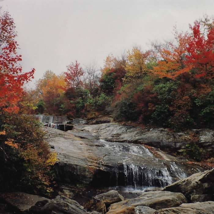 Near Graveyard Fields Upper Falls Trail