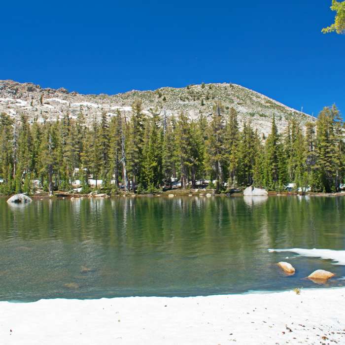 Near Norris Lake Trail to Jackass Lakes