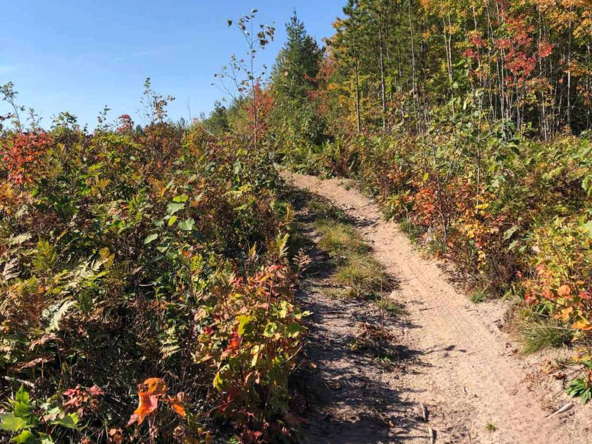 Black Lake North Loop photo 5