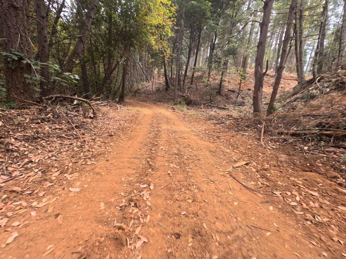 Pourier Creek Spur - FS 34-003 photo 6