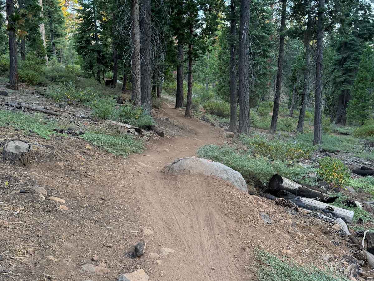 Beaver Tail Trail (Upper) photo 4