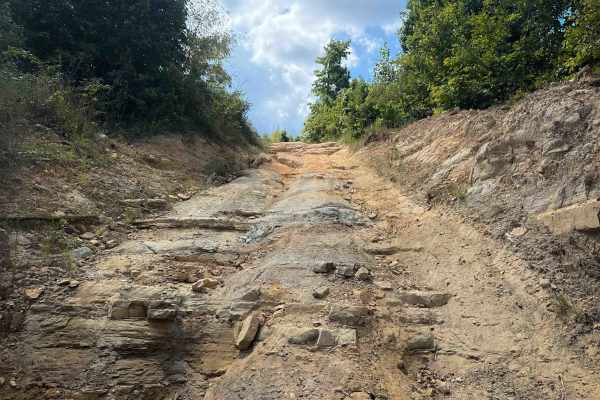 Brashy Fork Ridge Trail