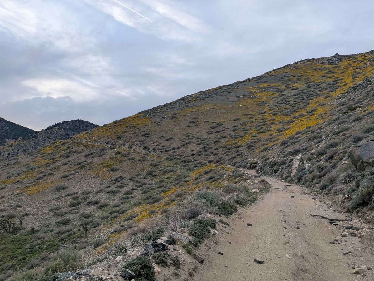 Horse Mountain - FS 27S11 photo 2