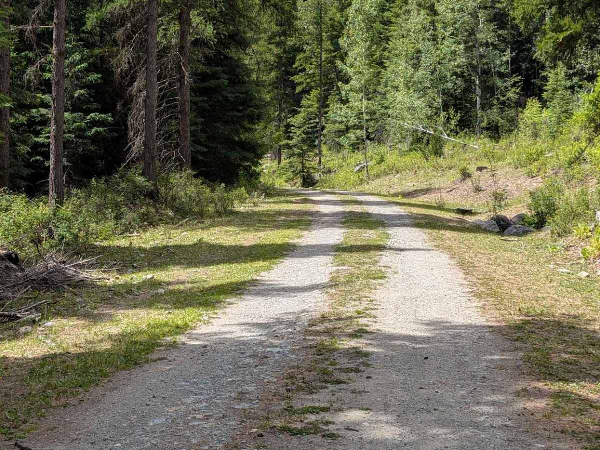 Sarsapkin Creek Road photo 4