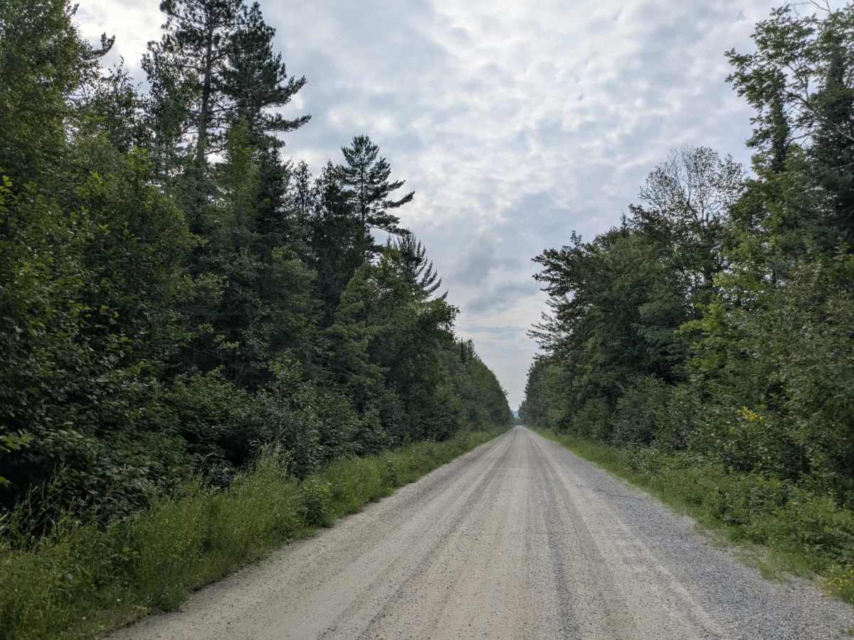 FS 203 trail photo