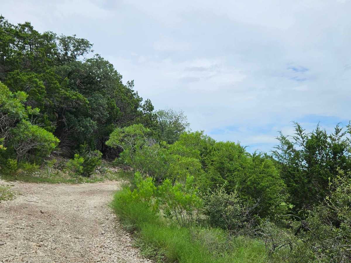 Lasso Spur photo 5