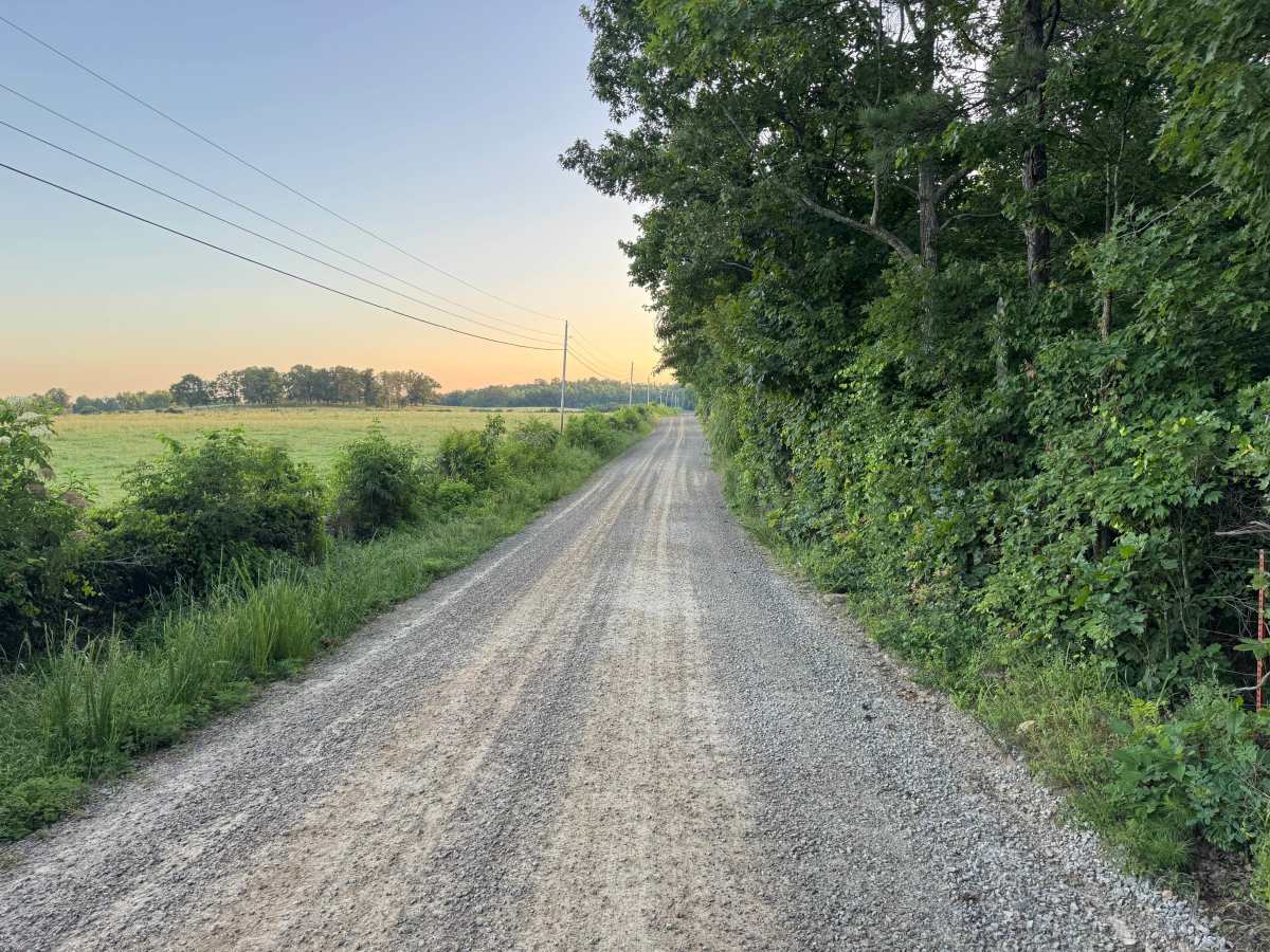 County Road 5500 photo 3