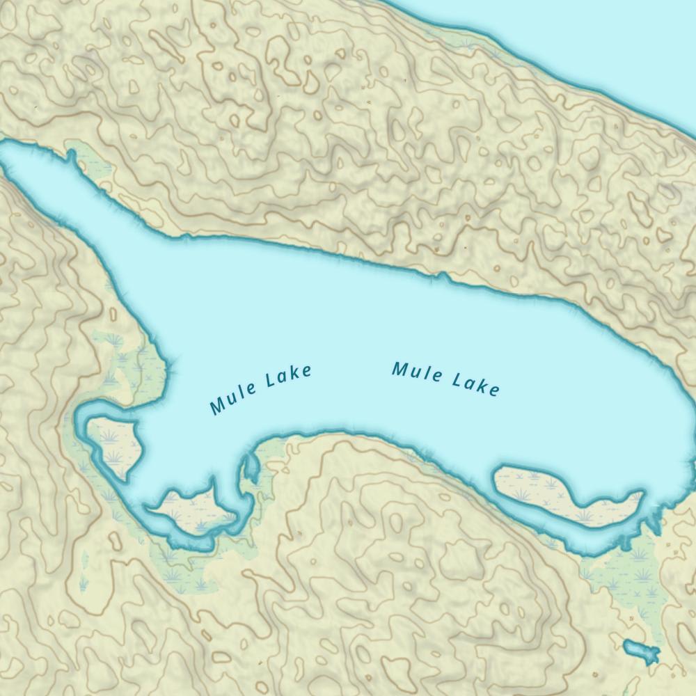 Mule Lake photo