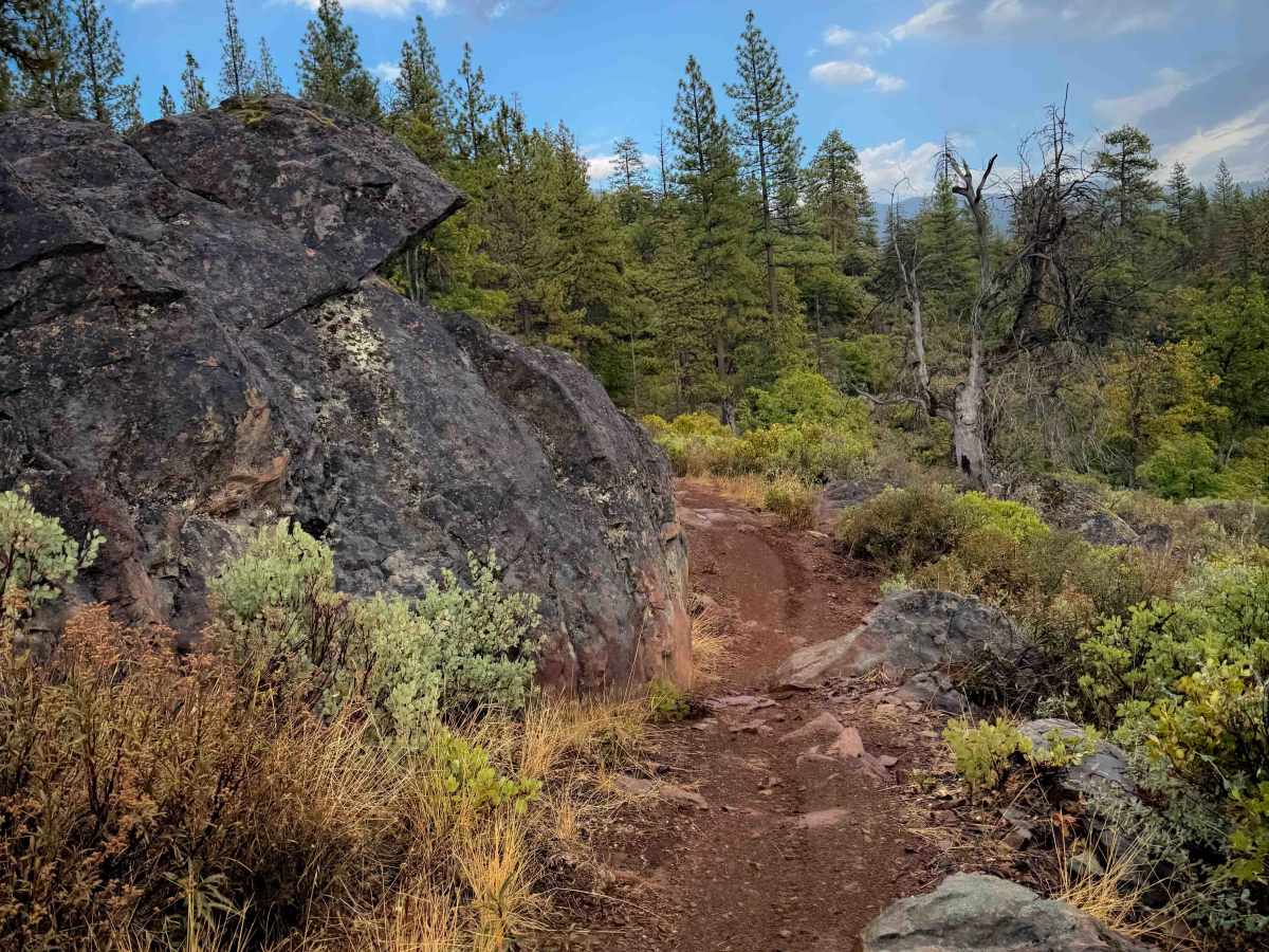Taylor Creek  photo 5