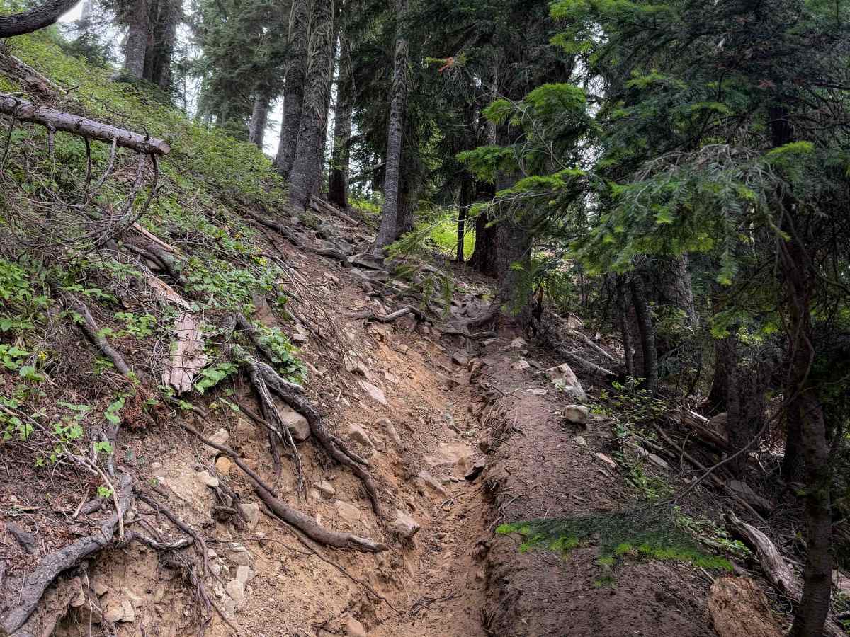 Elsnore Mine - Trail 1392.8  photo 4
