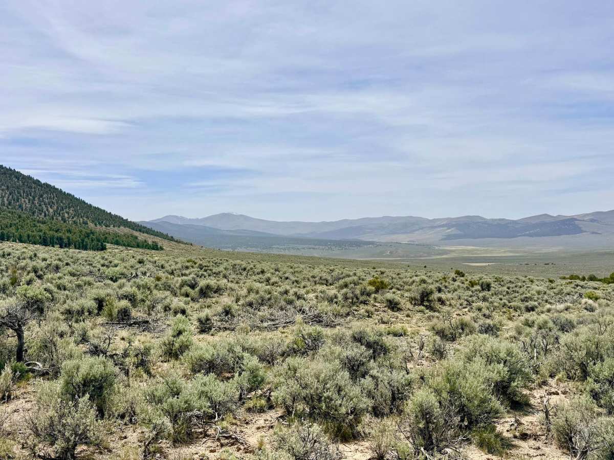 Willow Creek Ranch Cutoff FS43496A photo 2