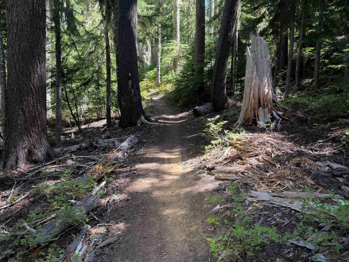 Indigo Lake Trail  photo 5