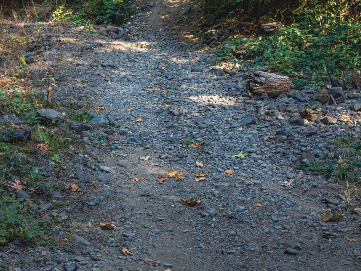 Cispus Valley photo 3