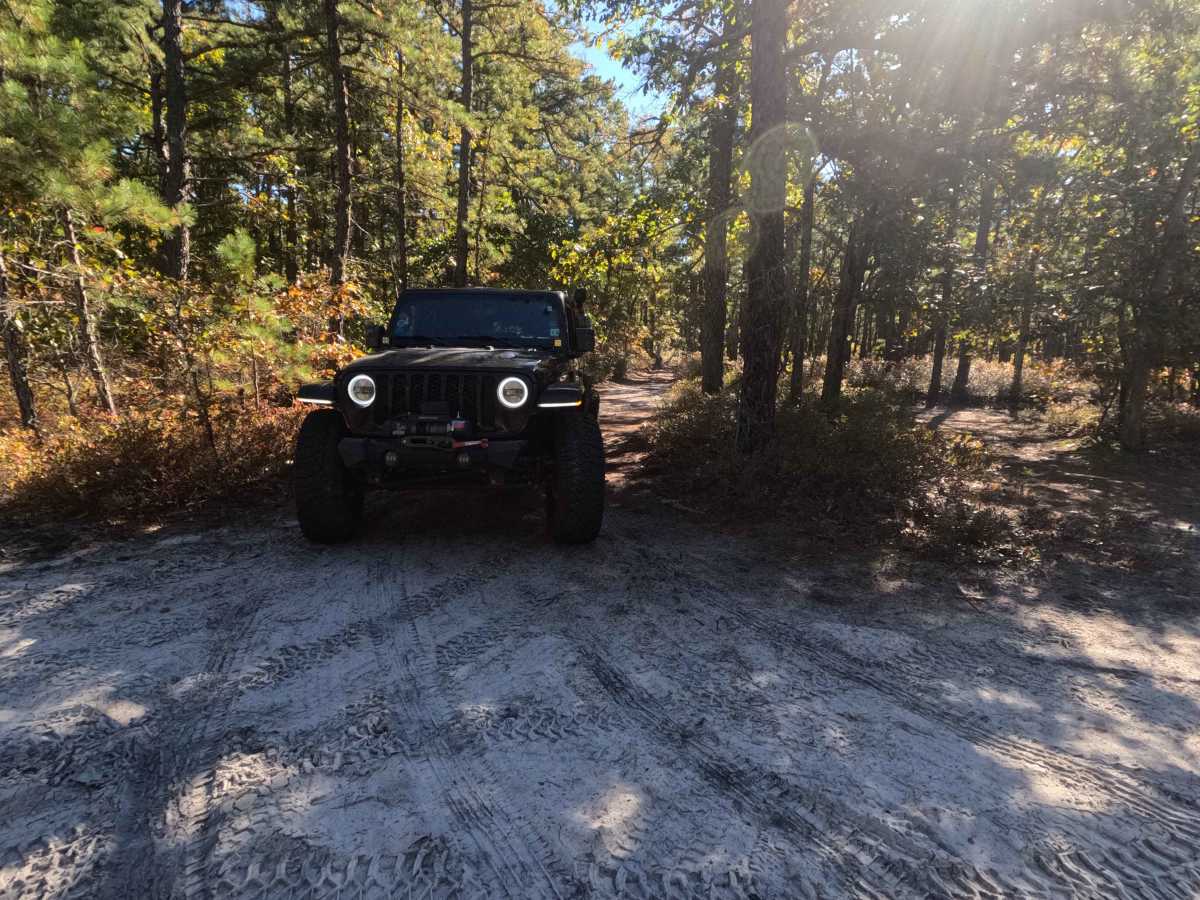 Swamp Road photo 5