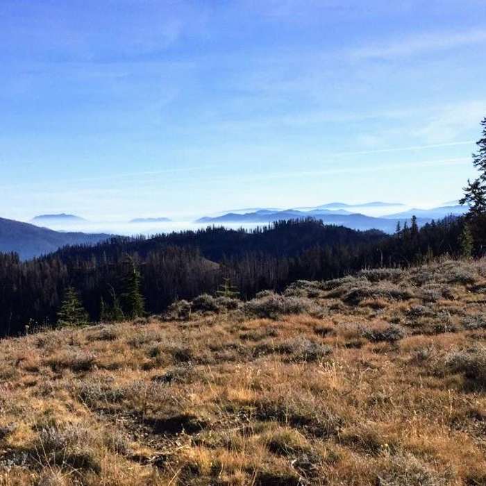 Near Kelsey Creek to Cold Springs