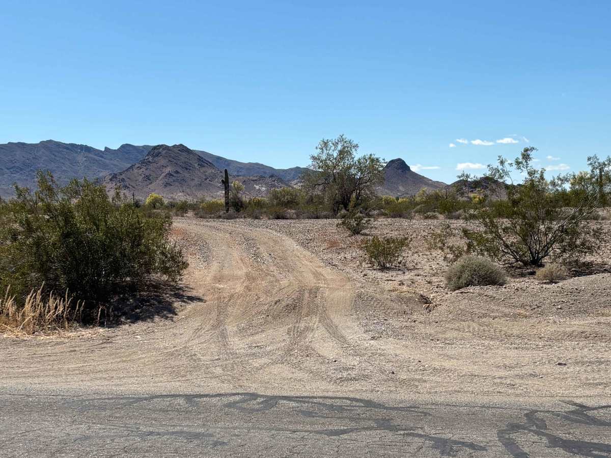 LP 1944 trail photo