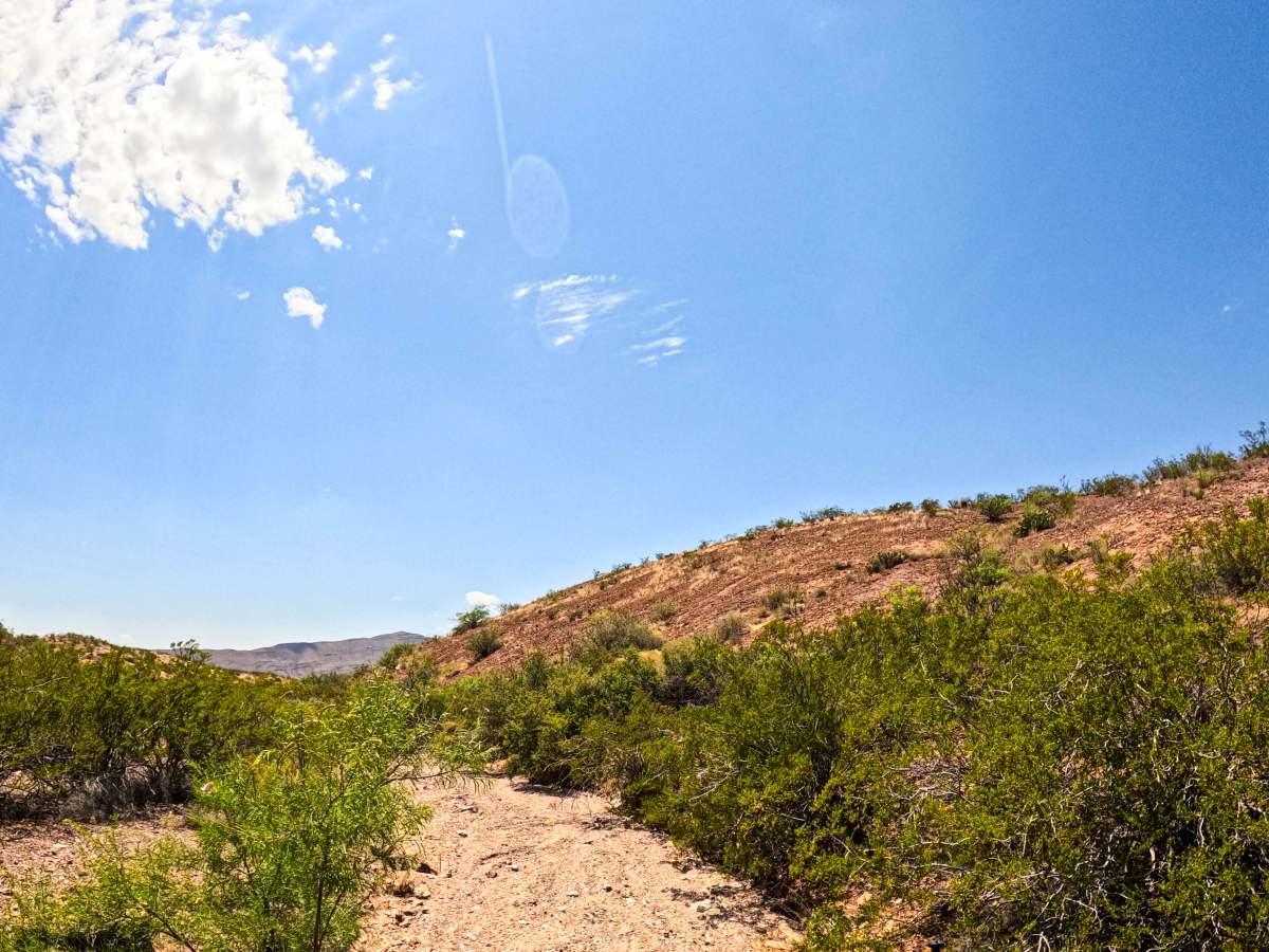 Arroyo photo 6