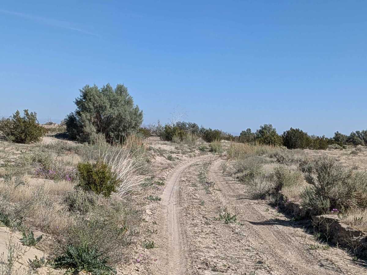 BLM 083 photo 3