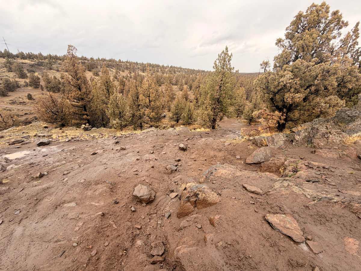 Cline Butte Trail 16 photo 3