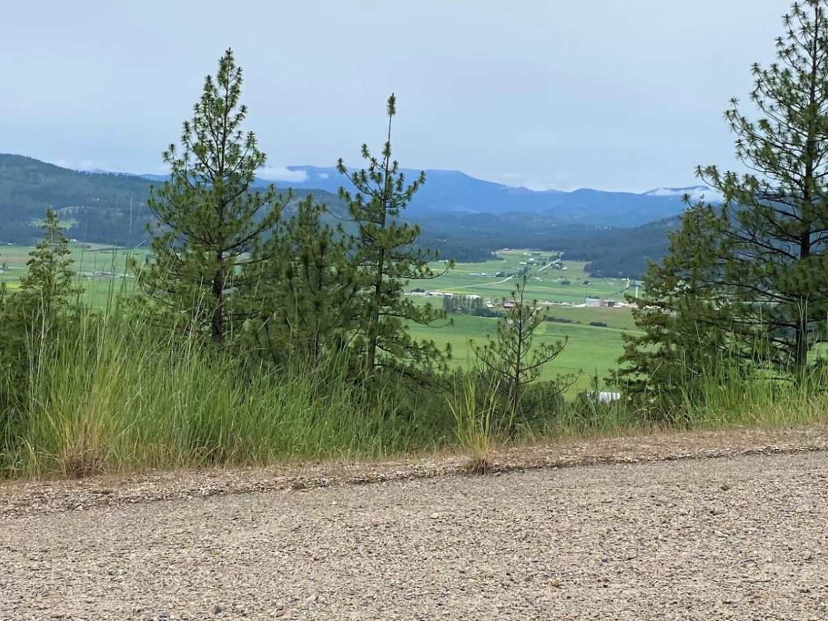 Cottonwood trail photo