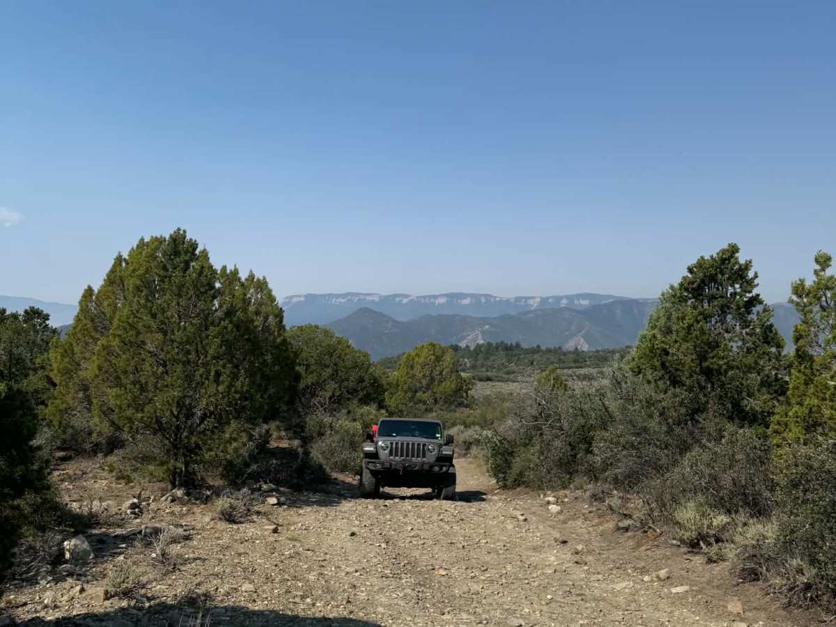 Rifle Loop photo 3