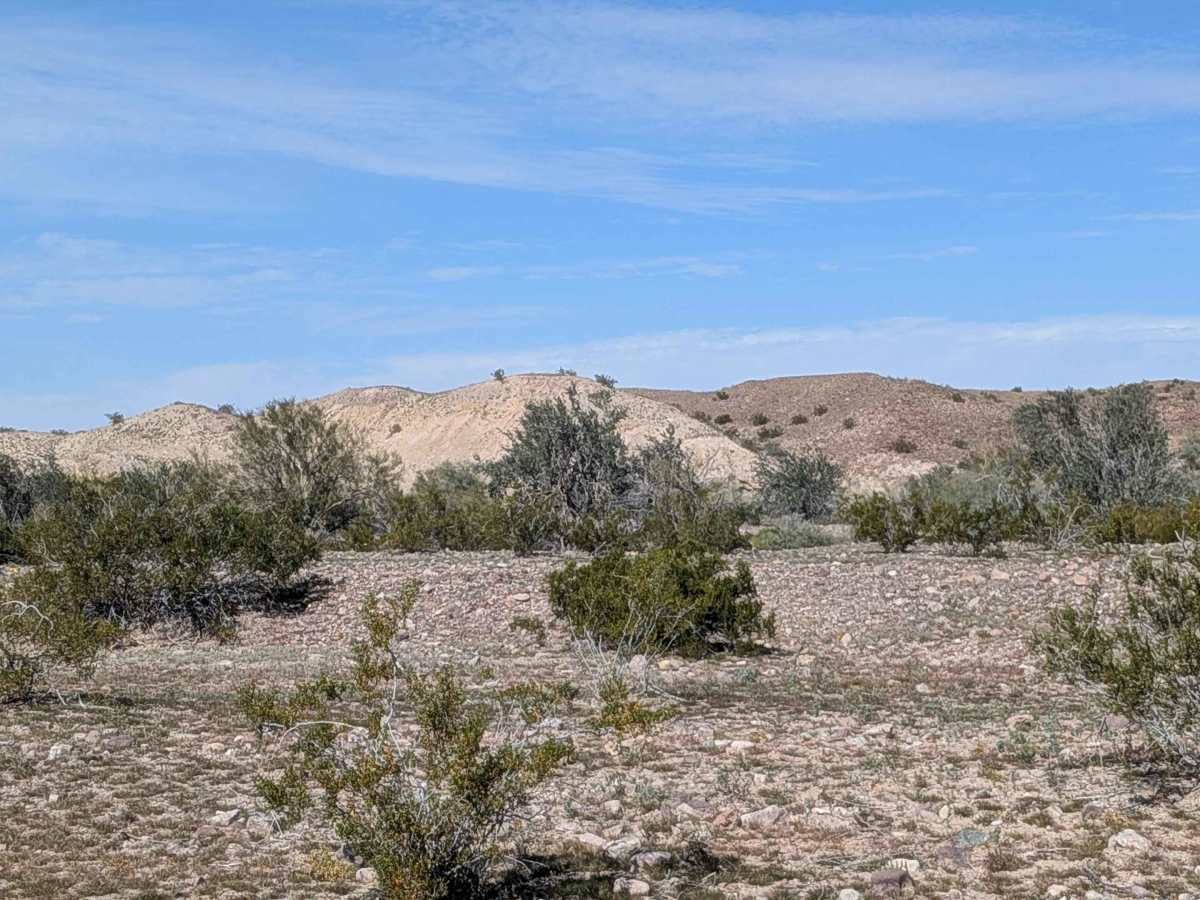 EC1177 photo 2