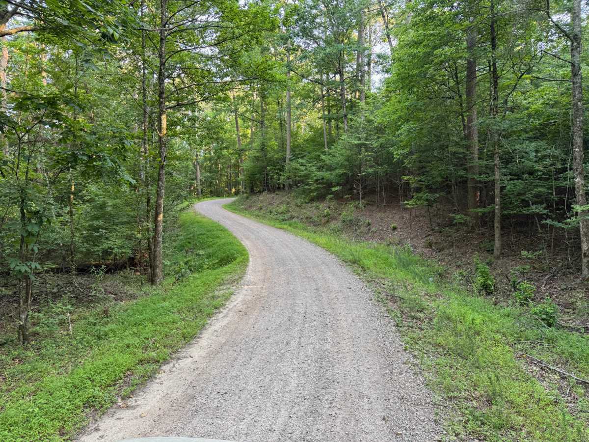 Elkins Hollow trail photo